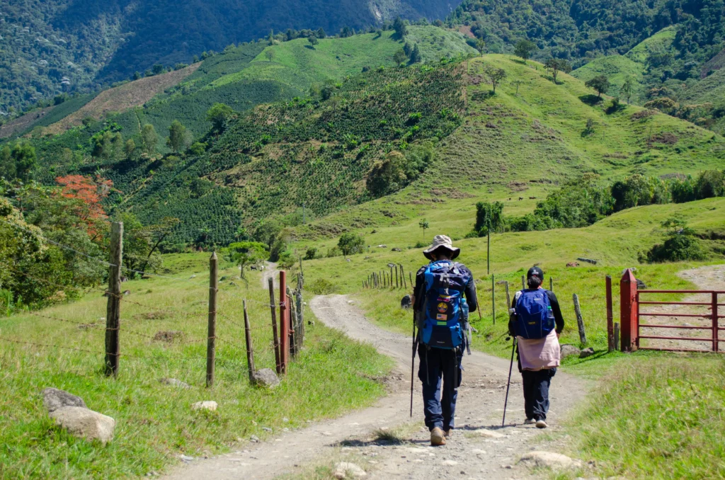 Copia de DSC_0050-edited