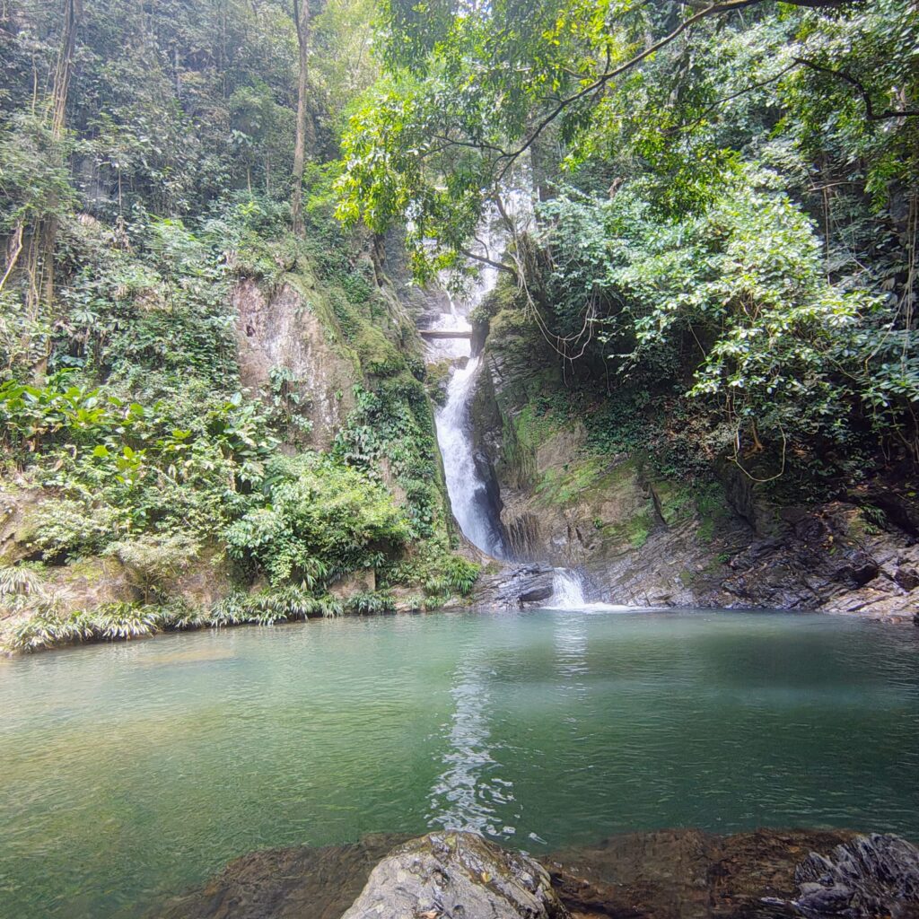 WhatsApp Image 2026-02-20 at 3.58.55 PM (2)