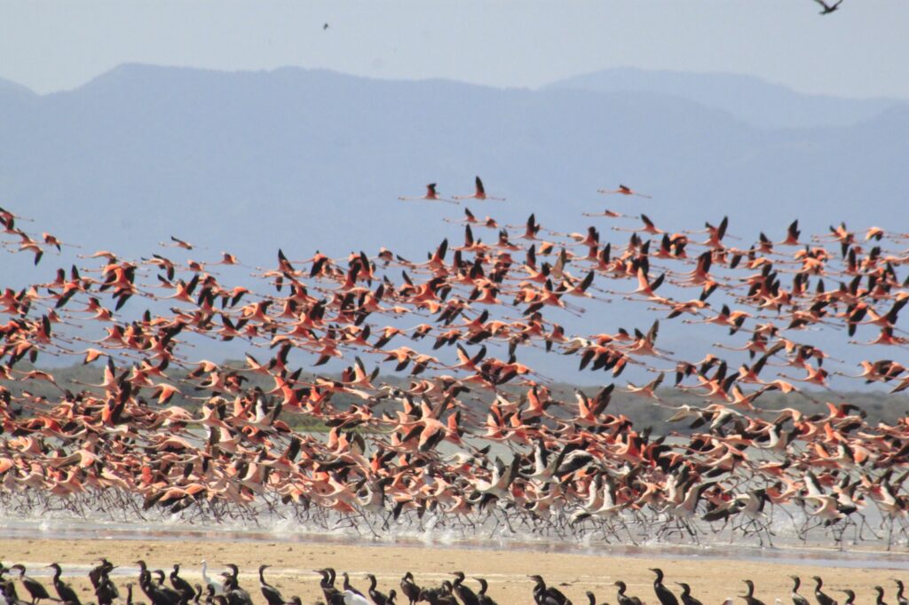 WhatsApp Image 2026-02-20 at 3.58.56 PM